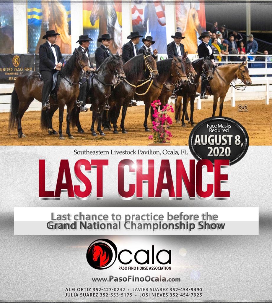 LAST CHANCE Ocala Paso Fino Horse Association